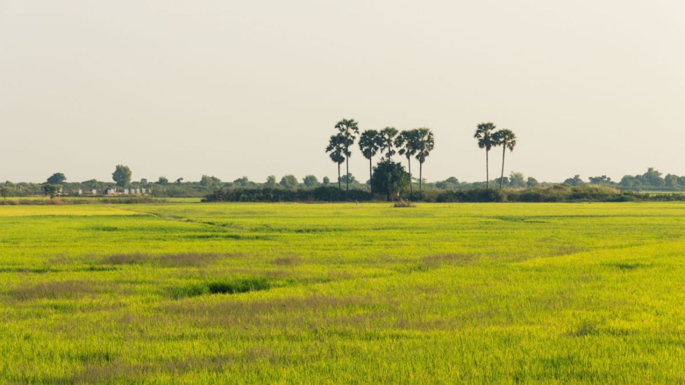 Indochina Mixed Forests & Peatlands (IM12)